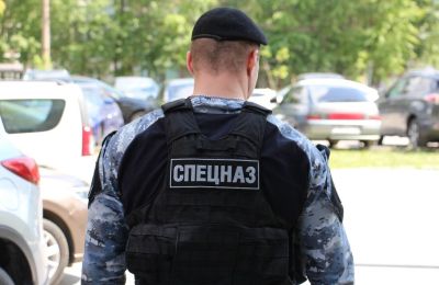 В Пермском крае приставы взыскали 600 тысяч рублей штрафа с организатора нелегальных азартных игр