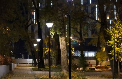 В пермской городской думе обсудили вопросы освещения столицы региона