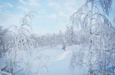 ​Морозы до -40 градусов ожидаются на этой неделе в Прикамье