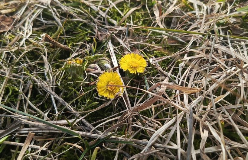В Перми восьмой раз зафиксирован температурный рекорд