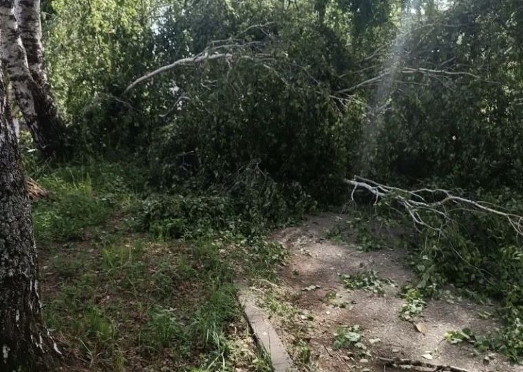 Более 80 процентов прикамцев вернули электроснабжение после урагана