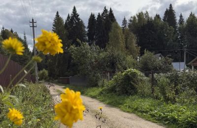 Аномально теплая и почти сухая погода установится в Пермском крае на этой неделе