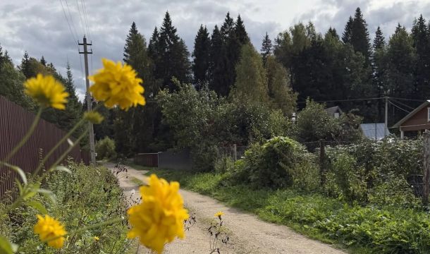 Аномально теплая и почти сухая погода установится в Пермском крае на этой неделе