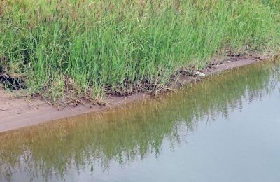 В Чайковском округе 15-летний подросток утонул в реке Пизь