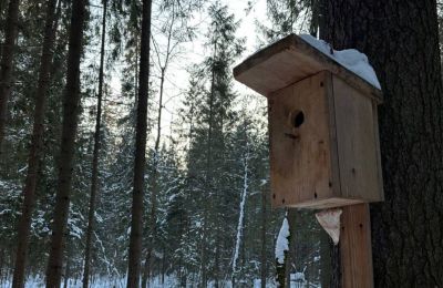 ​В Перми для жителей и гостей города открыли зимние экскурсии по экологическим тропам