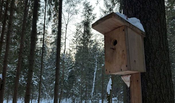 ​В Перми для жителей и гостей города открыли зимние экскурсии по экологическим тропам