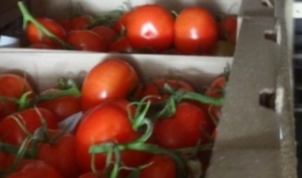 В Прикамье с начала года ввезли 815 тонн томатов из Казахстана