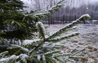 Снег, дождь и похолодание ожидаются в Прикамье на этой неделе 