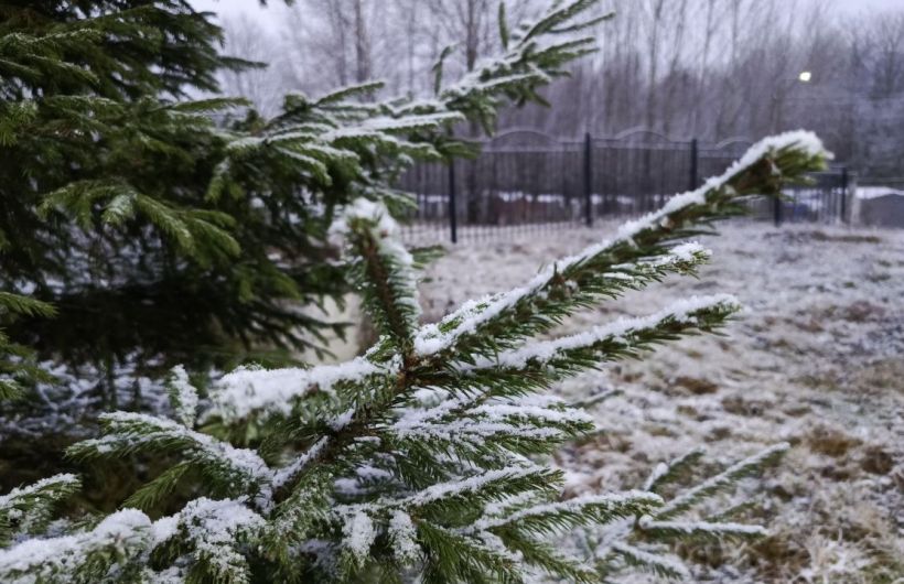 Снег, дождь и похолодание ожидаются в Прикамье на этой неделе 