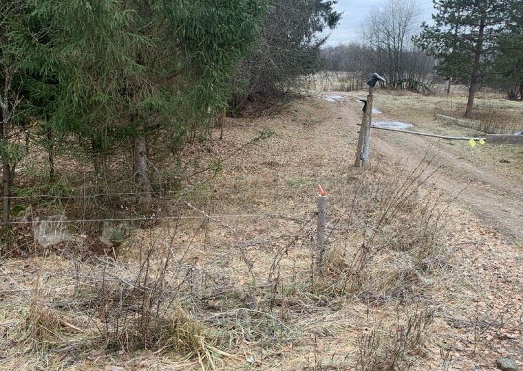 В Пермском крае владельцу фермы вынесли предупреждение за отсутствие учета животных