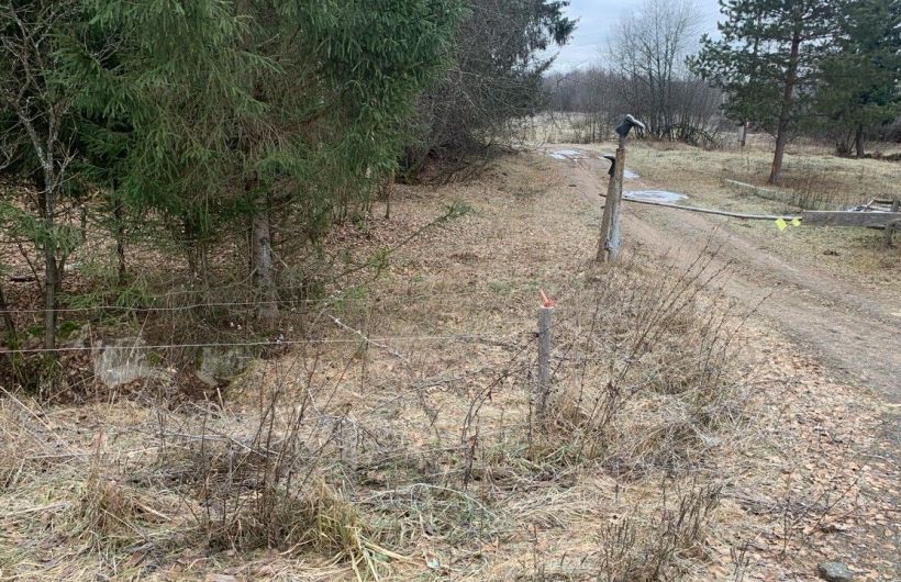 В Пермском крае владельцу фермы вынесли предупреждение за отсутствие учета животных