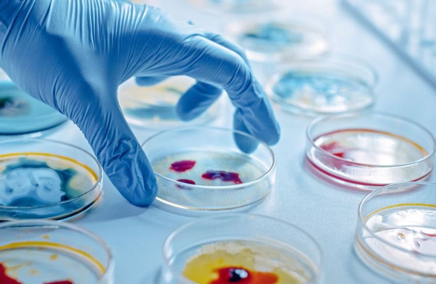 Не пей из копытца: пермский эксперт рассказал, чем опасно половодье для здоровья человека