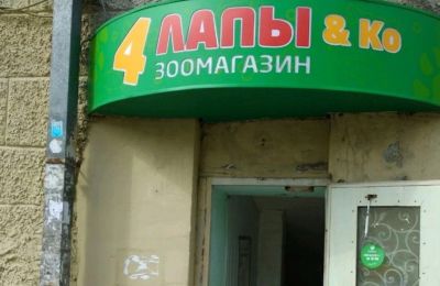 Предпринимателя оштрафовали за продажу в Перми ветпрепаратов без лицензии 