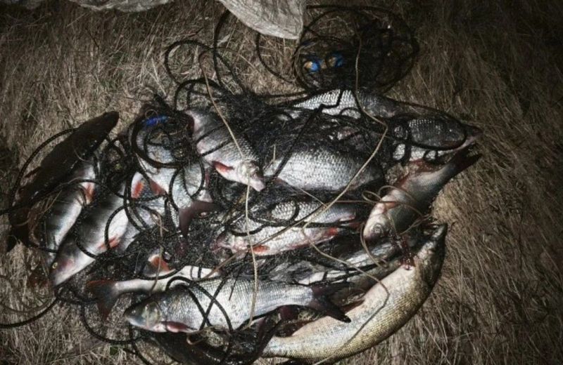 ​Рыбалка в запретной зоне на Каме обернулась для мужчины уголовным делом