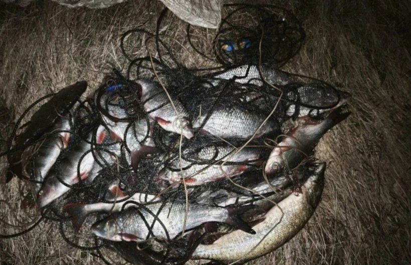 ​Рыбалка в запретной зоне на Каме обернулась для мужчины уголовным делом