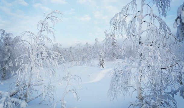 В Прикамье ожидается потепление