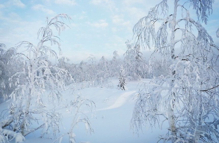 ​Ночные морозы накрыли некоторые территории Прикамья, но днем ожидается потепление