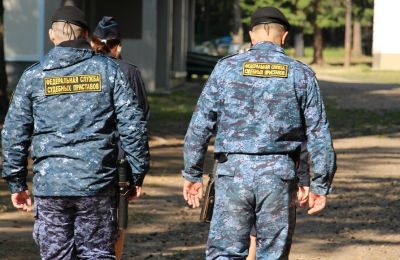 ​Житель Прикамья после незаконной вырубки леса выплатил 200 тысяч рублей штрафа