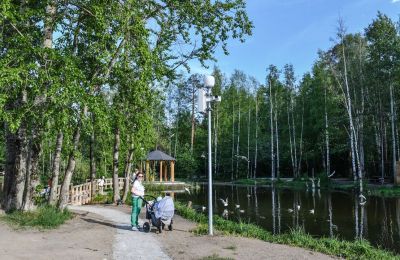 11 мест отдыха и четыре экотропы обновят в Перми за два года 