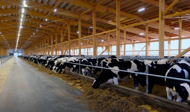 ​Вторую очередь комплекса по производству молока открыли в Зюкайке