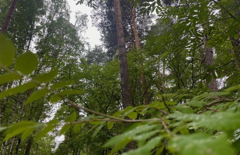 ​В Пермском крае может появиться новая особо охраняемая природная территория