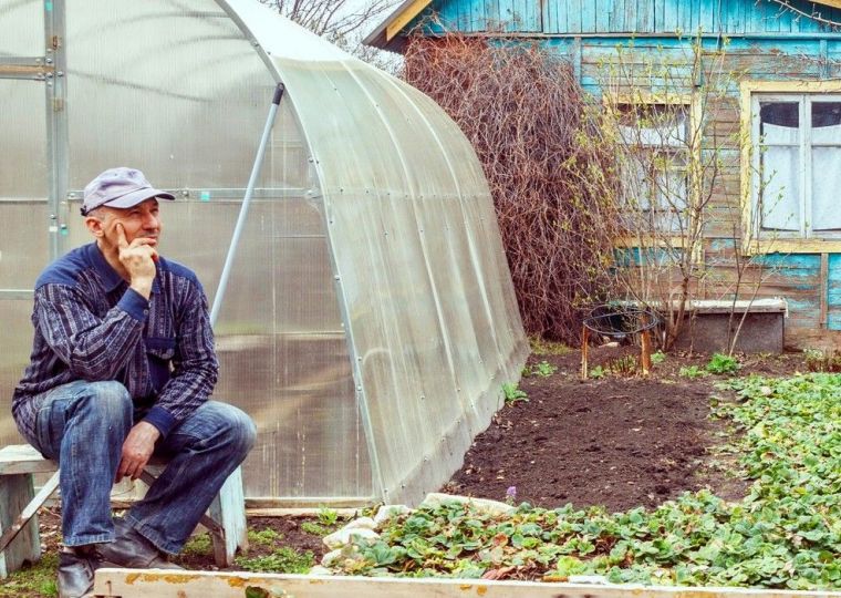 Как в Прикамье зарегистрировать хозпостройки и блокированные дома по дачной амнистии