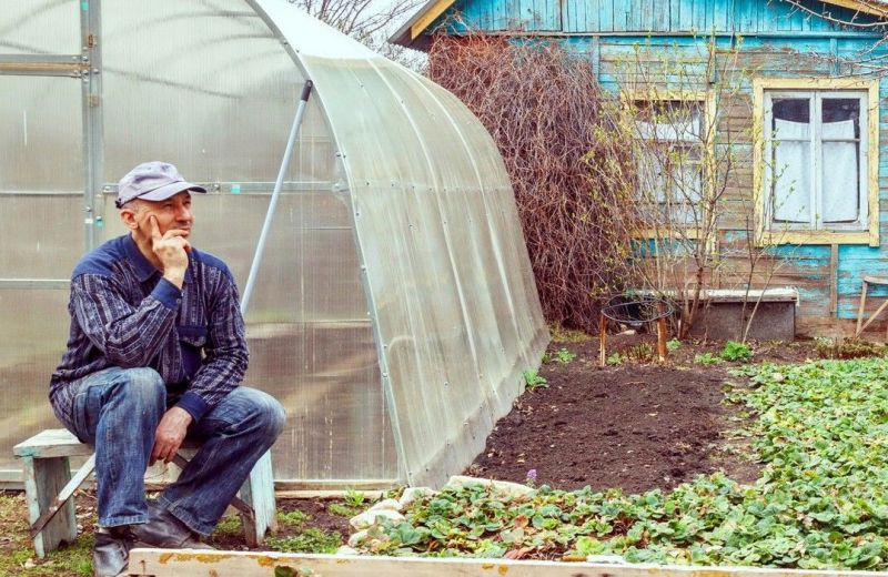 Как в Прикамье зарегистрировать хозпостройки и блокированные дома по дачной амнистии