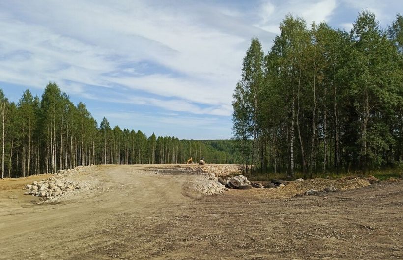 В пять раз больше земельных участков выделили в Перми льготным категориям граждан в 2025 году