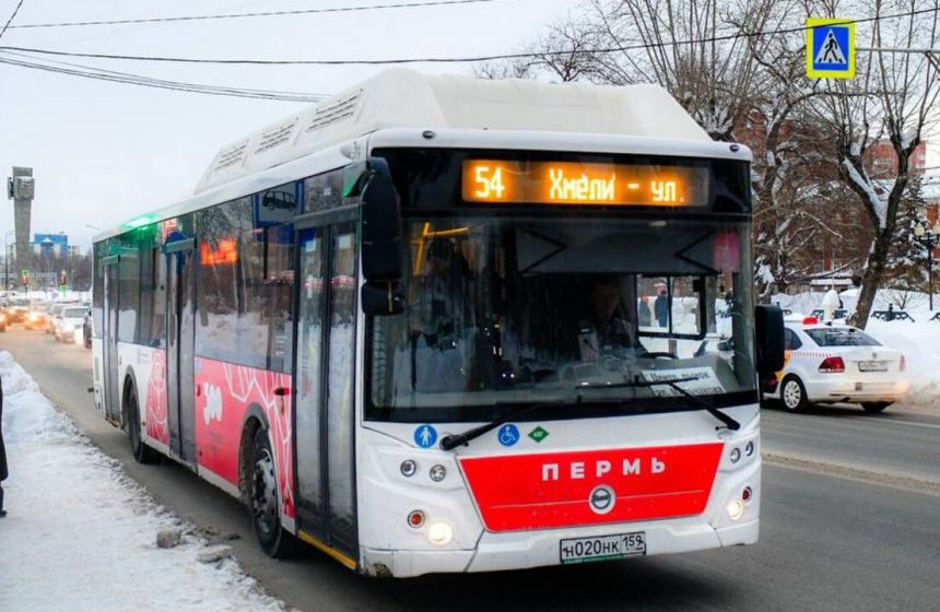 ​Маршруты №12 и №54 в Перми полностью перейдут на автобусы большого класса
