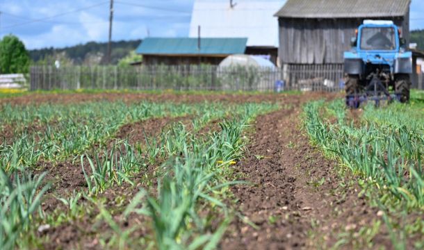 ​В Прикамье участники и ветераны СВО смогут получить до 3 млн рублей на запуск собственного фермерского хозяйства