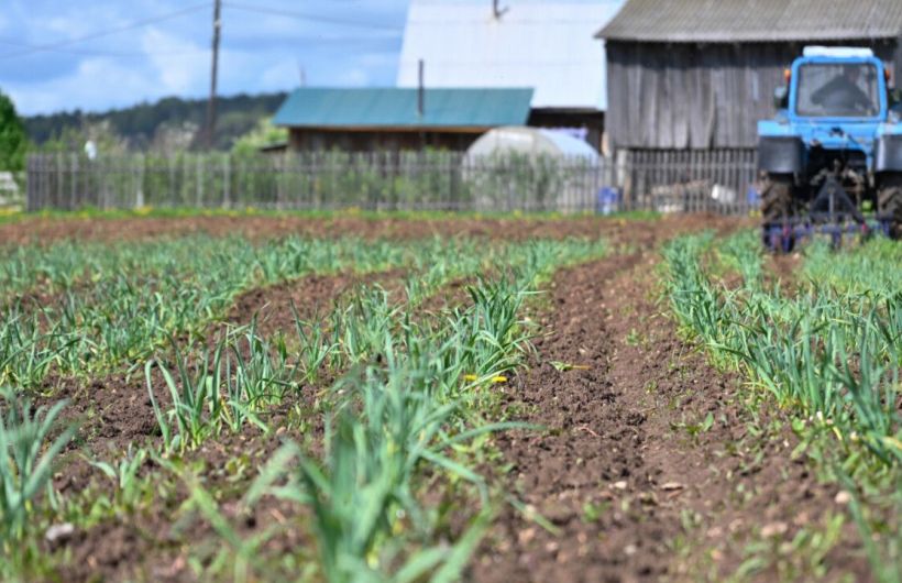 ​В Прикамье участники и ветераны СВО смогут получить до 3 млн рублей на запуск собственного фермерского хозяйства