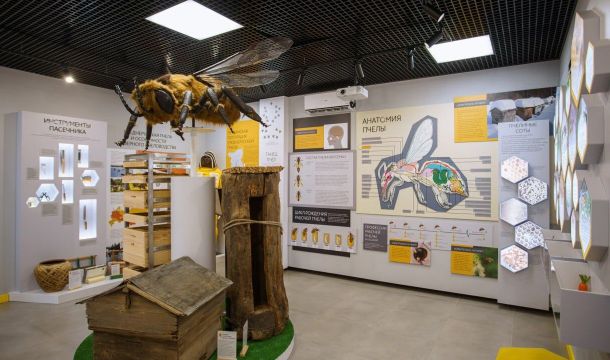О чем расскажут в музее меда и что покажут в кунгурском ТЮЗе