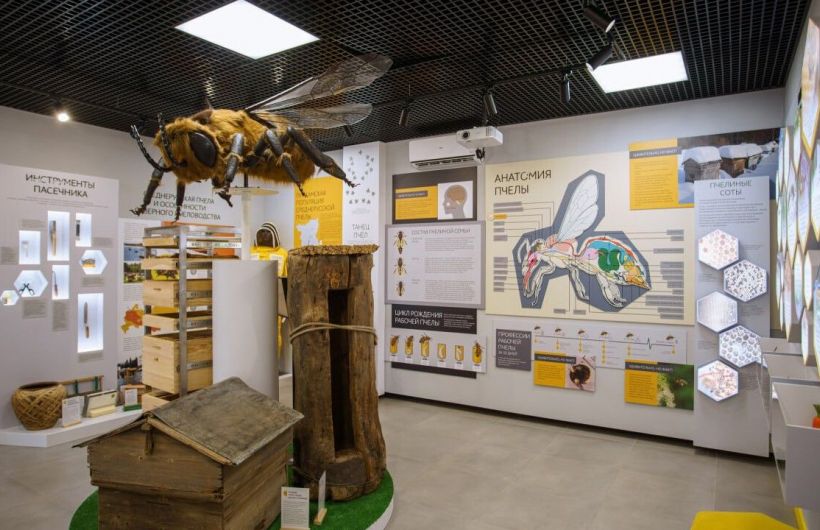 О чем расскажут в музее меда и что покажут в кунгурском ТЮЗе