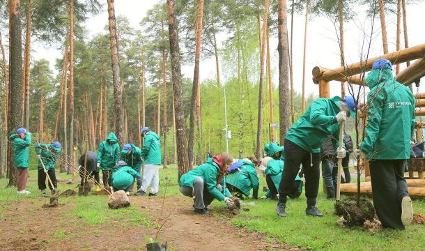 В Черняевском лесу Перми высажено 100 цветущих деревьев