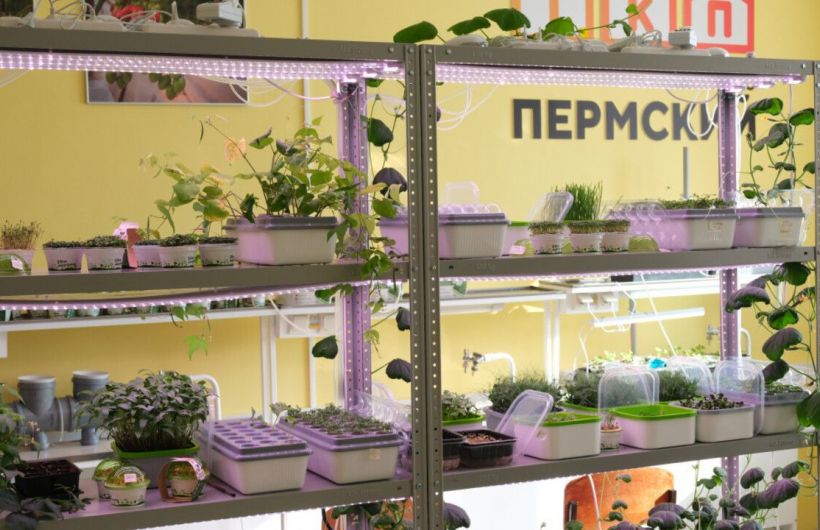 В Пермском крае в этом году откроется семь агроклассов