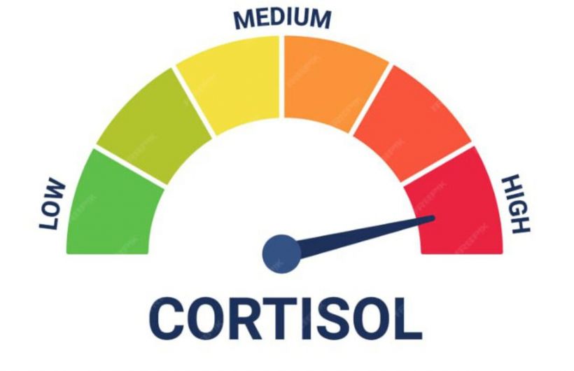 Что надо знать о кортизоле и его действии на человека