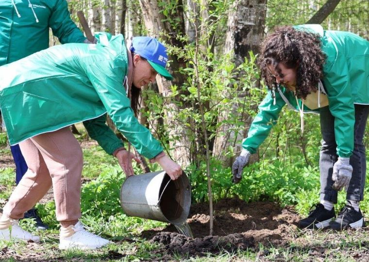 В Черняевском лесу в Перми высажено 100 цветущих деревьев и кустов