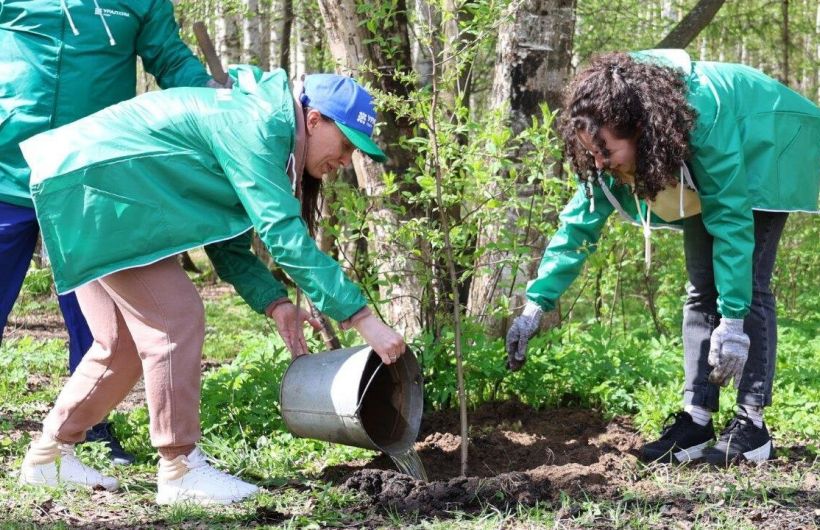 В Черняевском лесу в Перми высажено 100 цветущих деревьев и кустов
