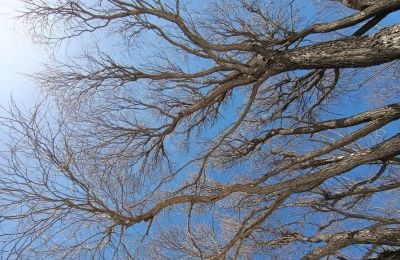 В Прикамье неделя будет солнечной и почти без осадков