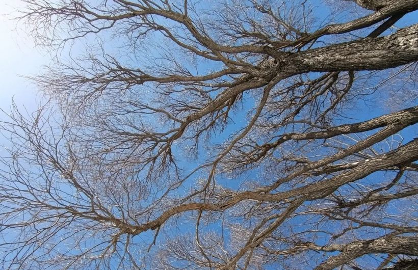 В Прикамье неделя будет солнечной и почти без осадков