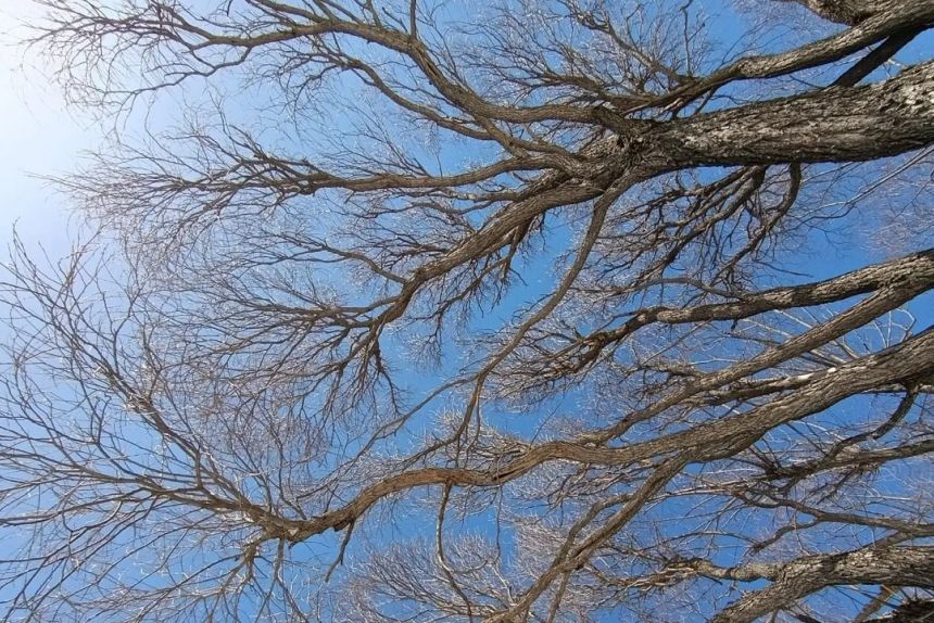 В Прикамье неделя будет солнечной и почти без осадков