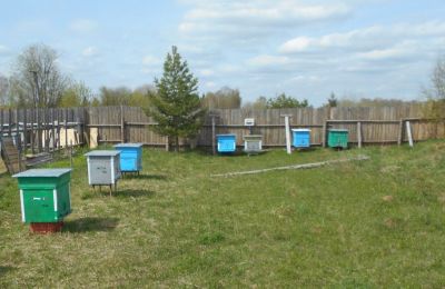 В Карагайском округе пчелы с частной пасеки мешали соседям