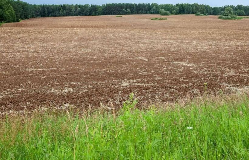В Прикамье агроном оштрафован за запрещенный пестицид в кукурузе