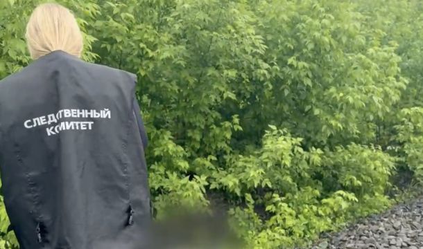 ​В Пермском крае следователи выясняют обстоятельства гибели мужчины под колесами поезда