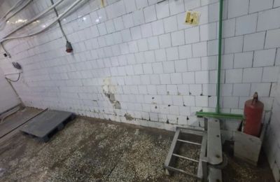 В Прикамье птицефабрику оштрафовали за нарушения при производстве продукции