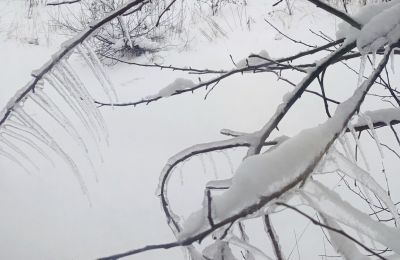 Морозы в Прикамье продлятся до понедельника