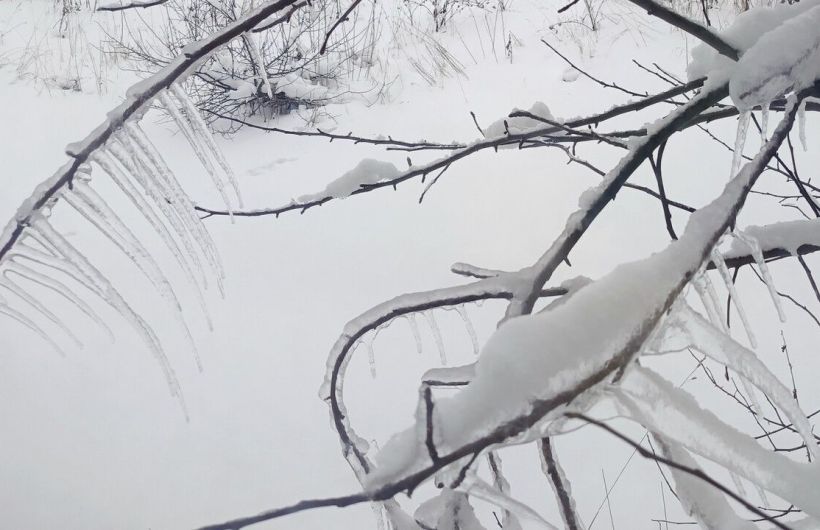 Морозы в Прикамье продлятся до понедельника