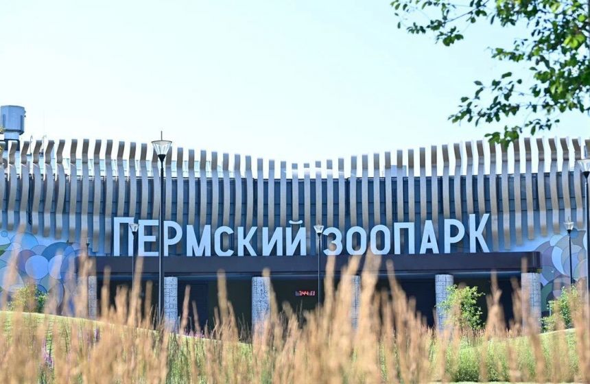 В Пермском зоопарке 1 сентября проведут программу ко Дню знаний