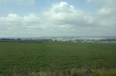 Минимущество Прикамья объявило о дате торгов на 15 земельных участков сельскохозяйственного назначения