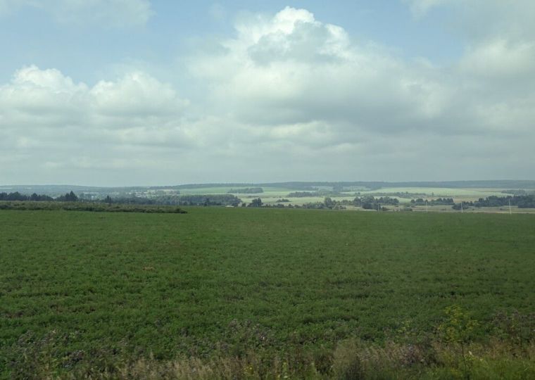 Минимущество Прикамья объявило о дате торгов на 15 земельных участков сельскохозяйственного назначения